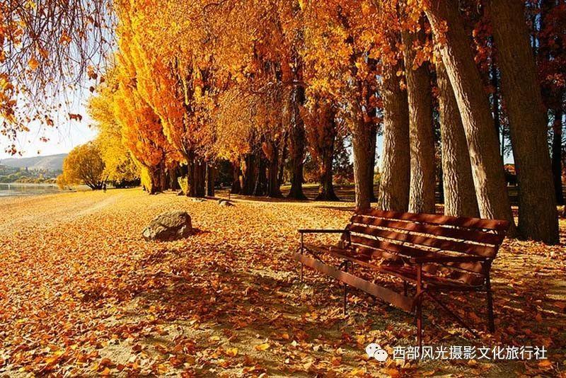 逃离洁白的宾馆